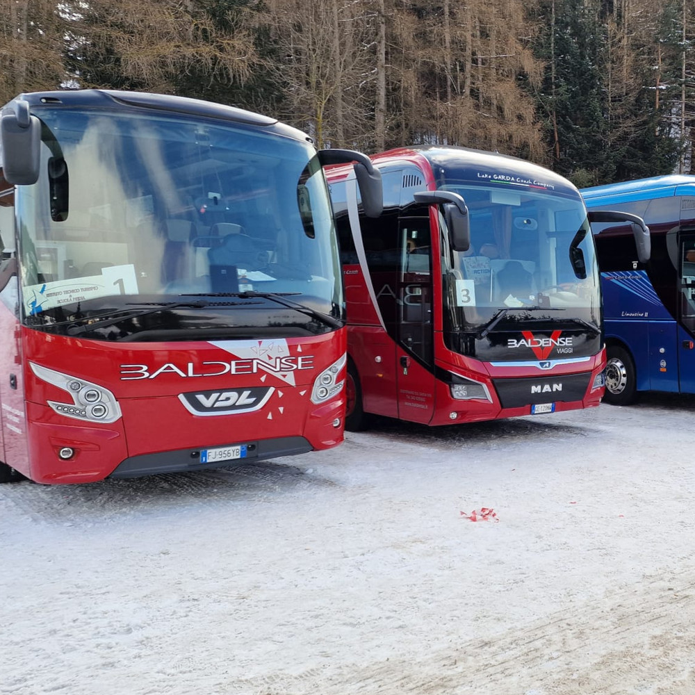 Chi Siamo Baldense Viaggi